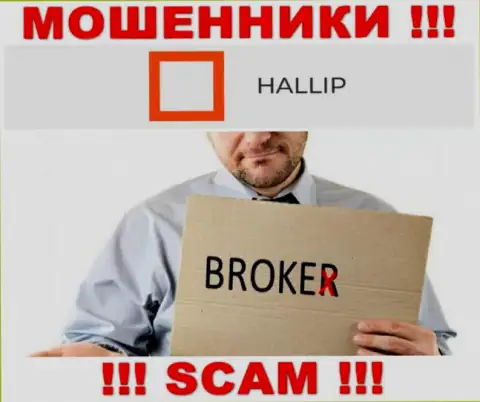 Тип деятельности internet шулеров Hallip Com - это Broker, но имейте ввиду это развод !!!