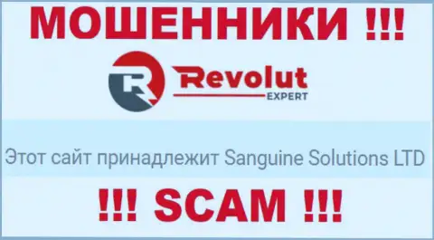 Информация о юр лице обманщиков Sanguine Solutions LTD