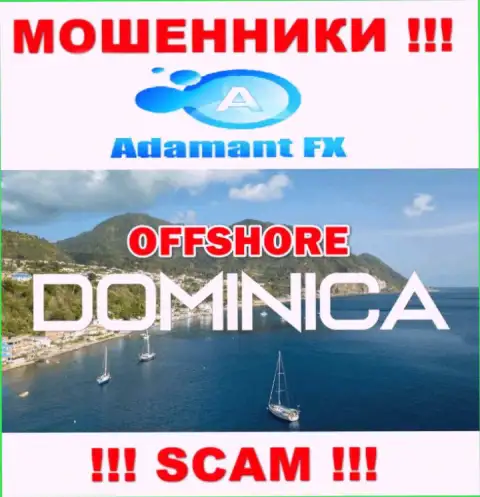 Adamant FX беспрепятственно обдирают, т.к. пустили корни на территории - Dominika