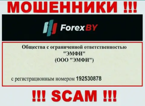 На сайте мошенников Forex BY представлен этот регистрационный номер данной компании: 192530878