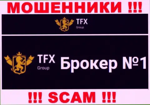 Не советуем доверять вклады TFX-Group Com, поскольку их область деятельности, Форекс, развод
