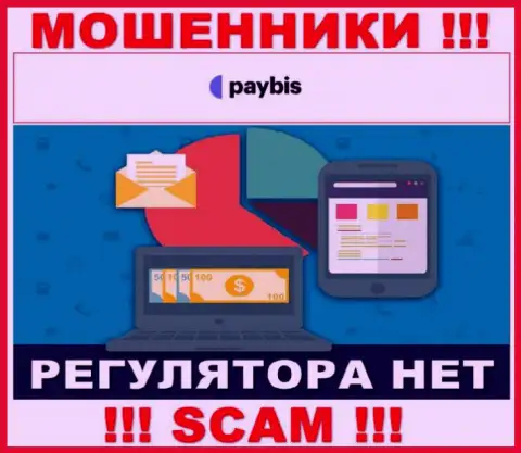 У PayBis на web-сайте не имеется информации о регулирующем органе и лицензии на осуществление деятельности конторы, а следовательно их вовсе нет