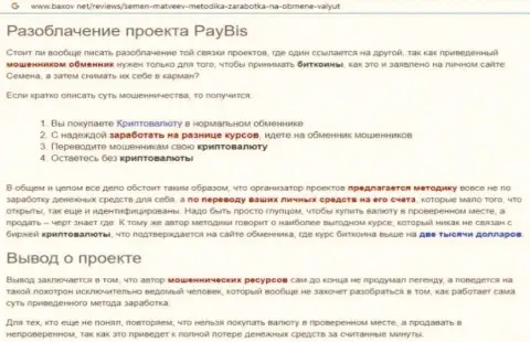 PayBis финансовые вложения не отдает, даже стараться не стоит (обзор)