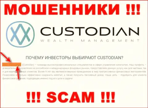 Юридическим лицом, владеющим интернет-мошенниками Кустодиан, является ООО Кастодиан