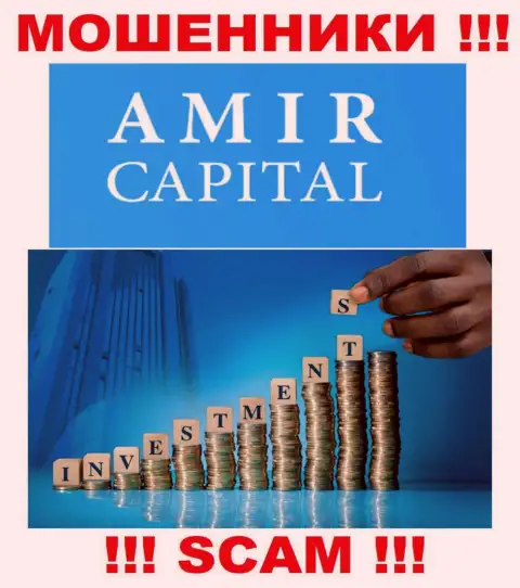 Не отдавайте кровно нажитые в Amir Capital, тип деятельности которых - Инвестиции