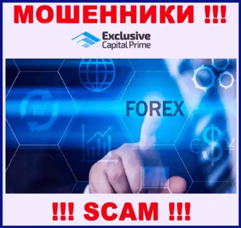 Forex - это направление деятельности незаконно действующей компании ЭксклюзивКапитал