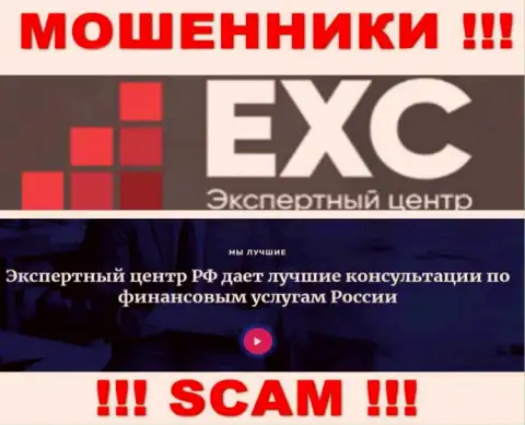 Экспертный Центр России занимаются надувательством людей, а Консалтинг только лишь прикрытие