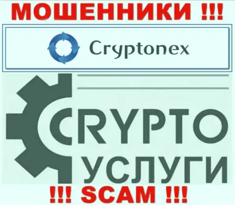 Имея дело с Crypto Nex, сфера работы которых Криптовалютные услуги, рискуете остаться без вложений