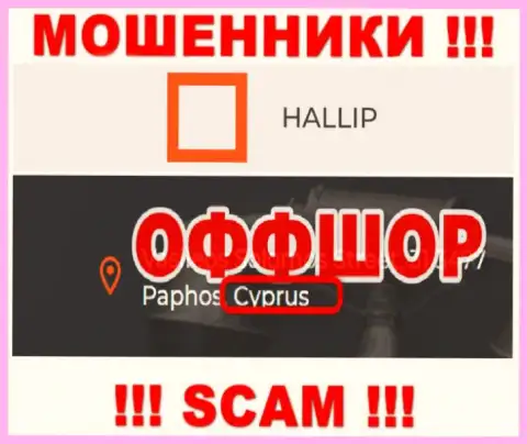 Лохотрон Hallip зарегистрирован на территории - Cyprus