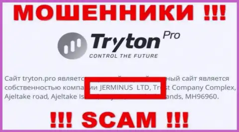Информация о юр. лице Tryton Pro - это компания Jerminus LTD