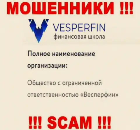 Информация про юридическое лицо мошенников VesperFin - ООО Весперфин, не сохранит Вас от их лап