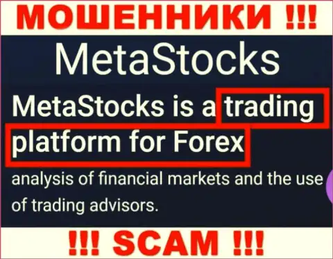 Деятельность мошенников Meta Stocks: Торговая платформа - это капкан для малоопытных людей