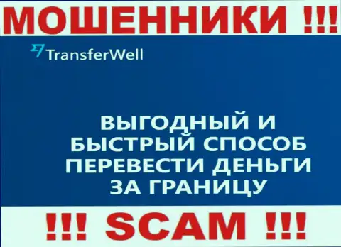 Не стоит верить, что деятельность Transfer Well в сфере Платежная система легальная