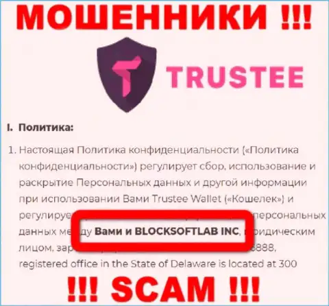 BLOCKSOFTLAB INC управляет конторой TrusteeGlobal Com - это МОШЕННИКИ !!!