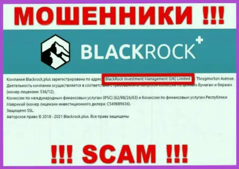 Владельцами Блэк Рок Плюс является контора - BlackRock Investment Management (UK) Ltd