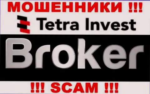 Broker - это область деятельности интернет обманщиков Tetra Invest