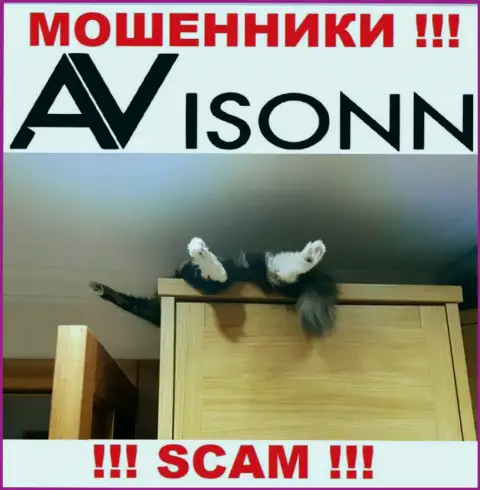 На интернет-сервисе мошенников Avisonn Com Вы не найдете сведений о их регуляторе, его НЕТ !!!