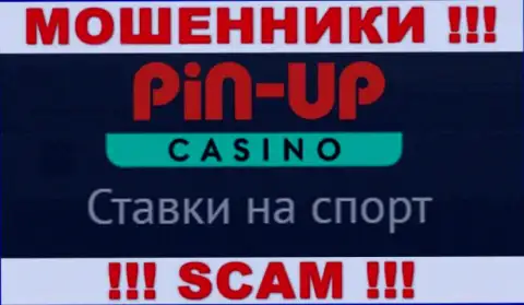 Основная деятельность ПинАп Казино - это Casino, будьте крайне внимательны, промышляют противозаконно