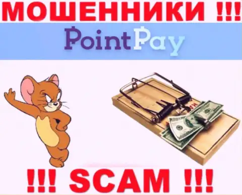Point Pay LLC это КИДАЛЫ, не надо верить им, если будут предлагать увеличить депозит