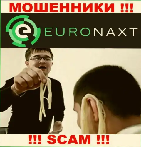 EuroNaxt Com намереваются раскрутить на совместное сотрудничество ??? Будьте осторожны, жульничают