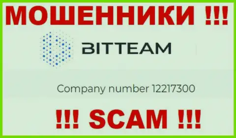 Рег. номер конторы BitTeam - 12217300