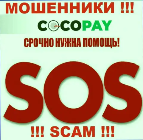 Можно еще попытаться вернуть вложения из организации Coco-Pay Com, обращайтесь, разузнаете, как действовать