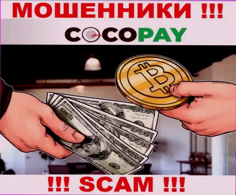Не советуем доверять денежные активы Coco Pay Com, потому что их сфера деятельности, Обменка, капкан