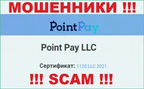 Регистрационный номер противозаконно действующей компании ПоинтПай Ио - 1120 LLC 2021