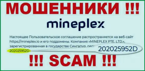 Номер регистрации очередной незаконно действующей компании МинеПлекс - 202025952D