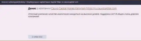 Брокерская организация Cauvo Capital описана в отзыве на сайте revocon ru