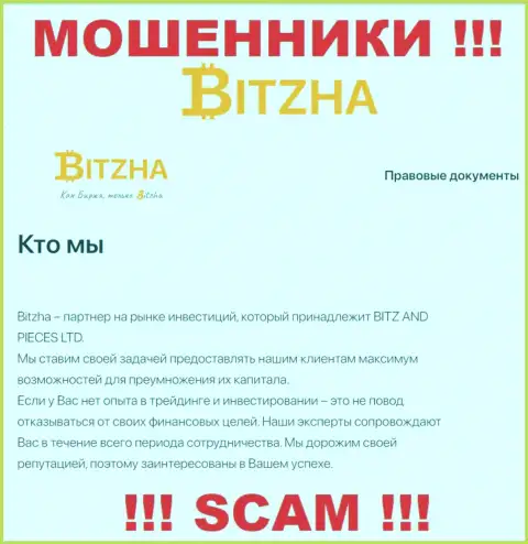 Bitzha24 - бессовестные мошенники, направление деятельности которых - Инвестирование