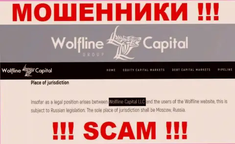 Юридическое лицо компании Wolfline Capital - это ООО Волфлайн Кэпитал