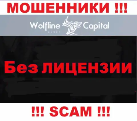 Невозможно найти данные о лицензионном документе разводил Wolfline Capital - ее попросту не существует !