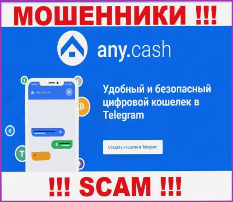 AnyCash это internet-лохотронщики, их деятельность - Цифровой кошелек, направлена на отжатие финансовых средств клиентов