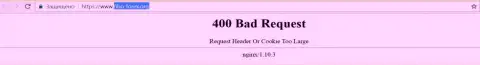 Официальный web-ресурс валютного брокера FIBO Group несколько дней недоступен и выдает - 400 Bad Request (неверный запрос)