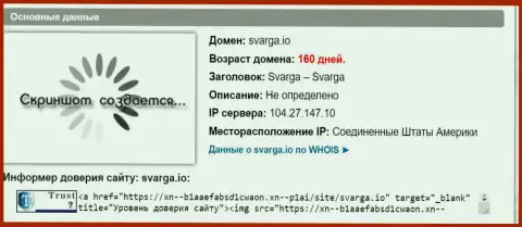 Возраст домена форекс дилинговой организации Svarga IO, согласно справочной инфы, которая получена на веб-портале довериевсети рф