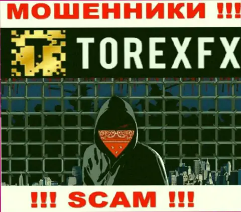 TorexFX не разглашают информацию о руководстве организации